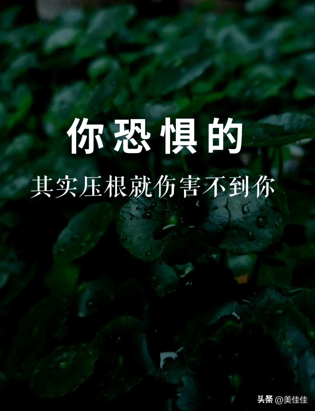 上高中住校后，只要临睡前心里有点发怵，晚上必定会梦到蜘蛛，然后被吓醒。上大学时如