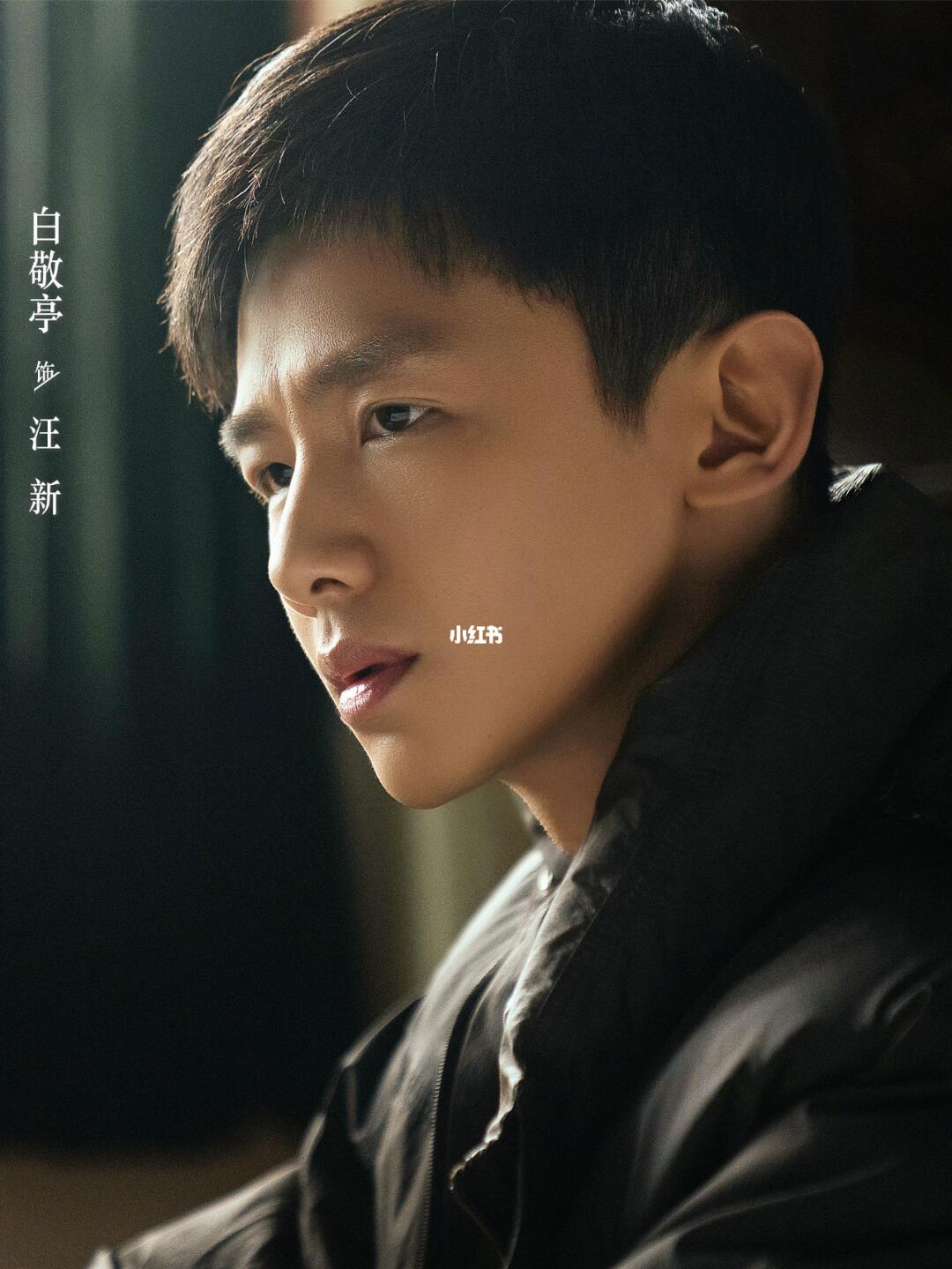 汪新到底还是太嫩！轻易就进了贾金龙的陷阱