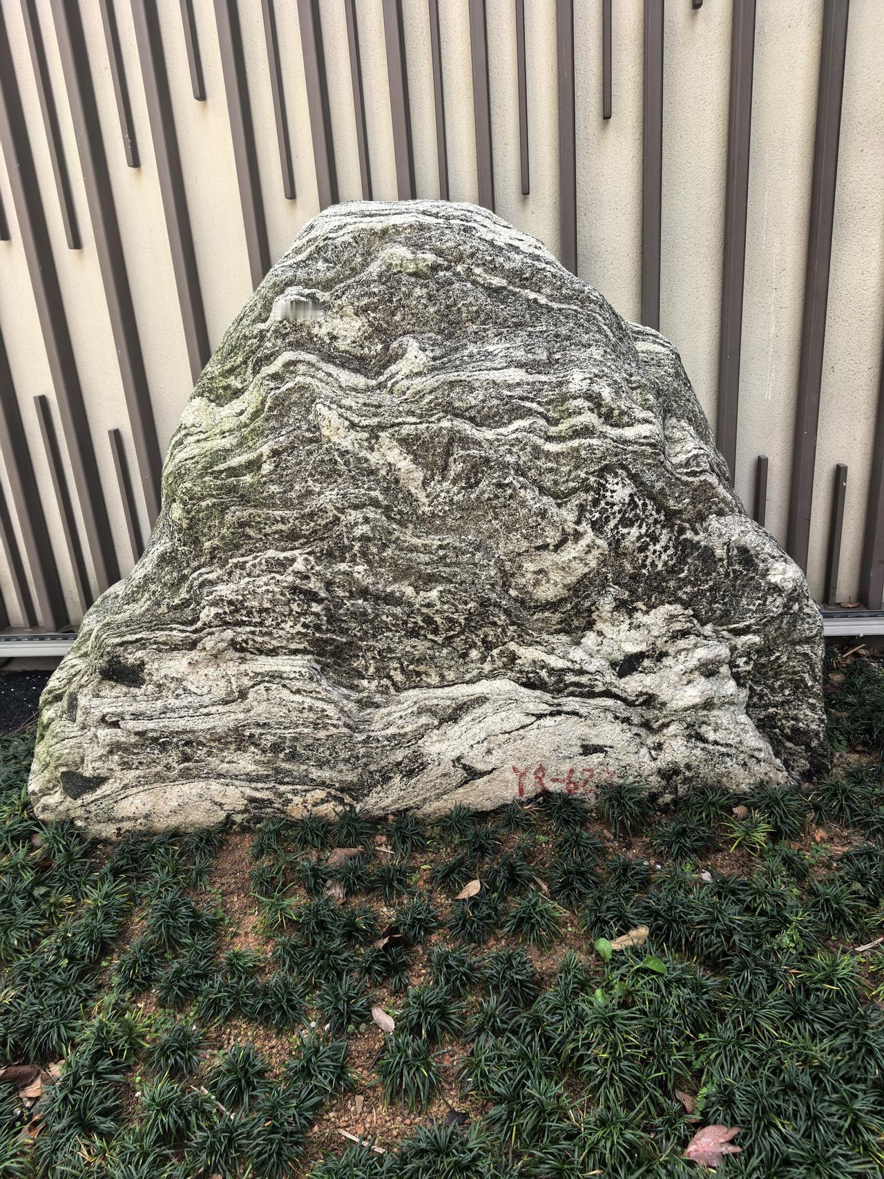 这颗石头就是一座石山的缩影，路过时看到的，看着很美，就拍了下来。