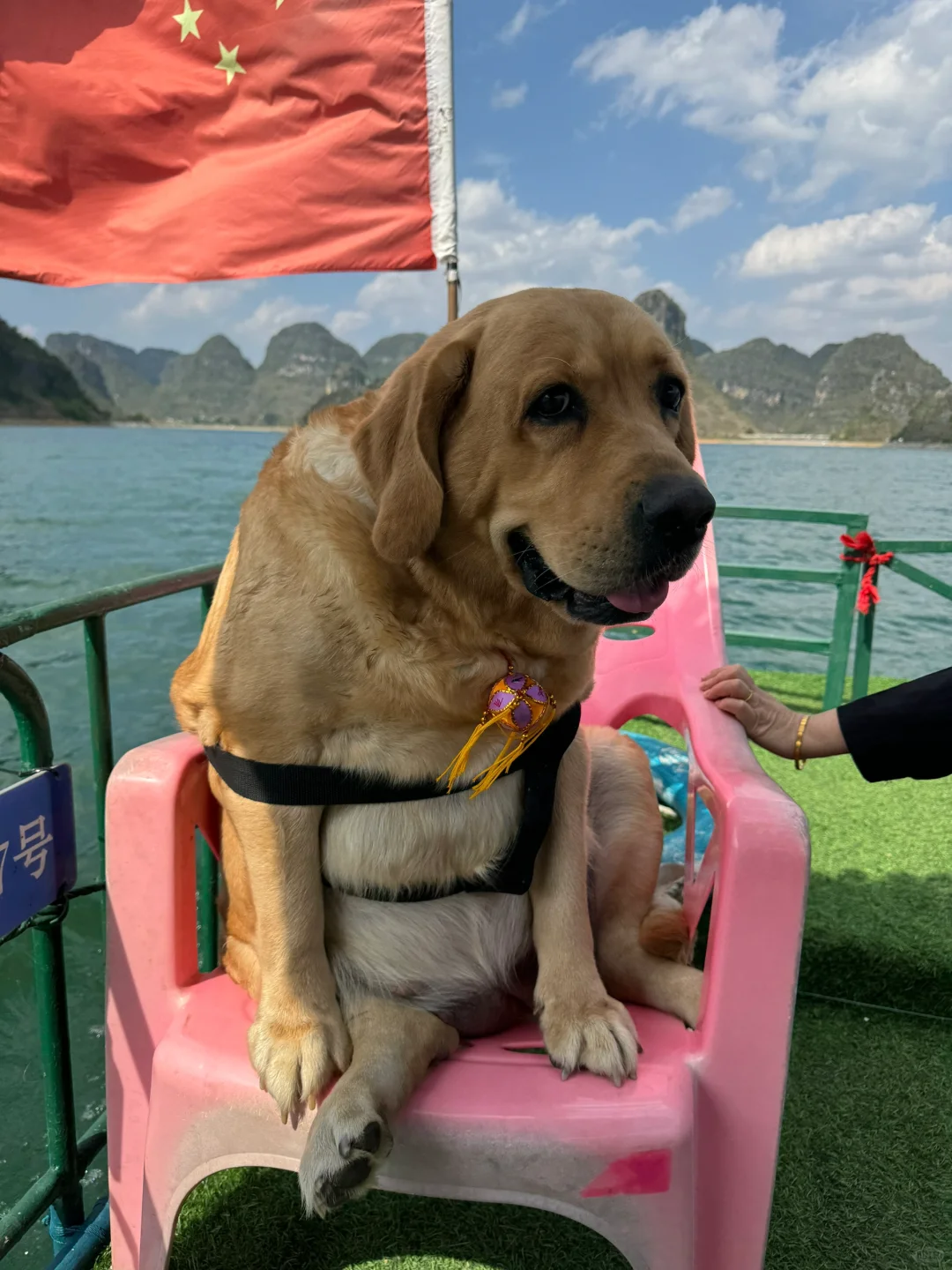 接下来听鲍导游简单汪两句