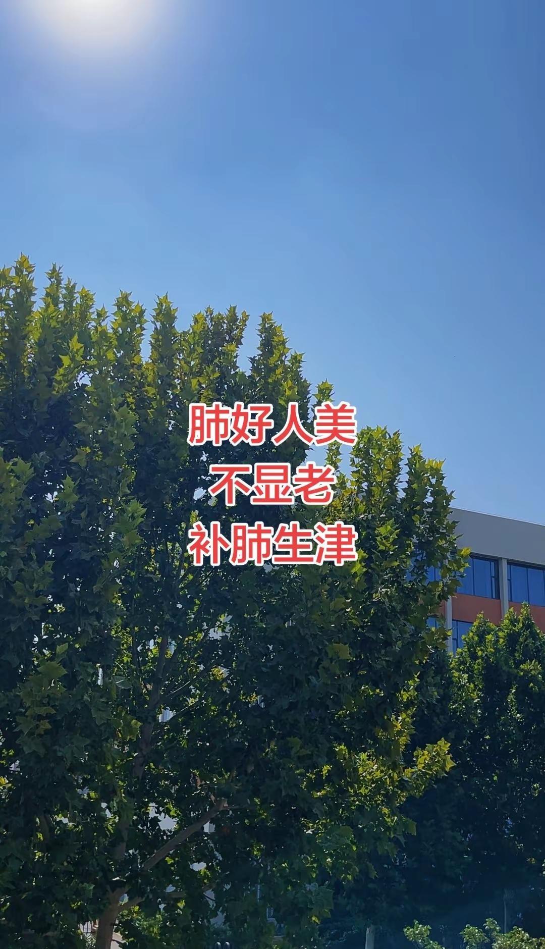 亚运会女排决赛，中国女排3-0击败东道主日本队，第三局遭遇大比分落后逆境，队员顽