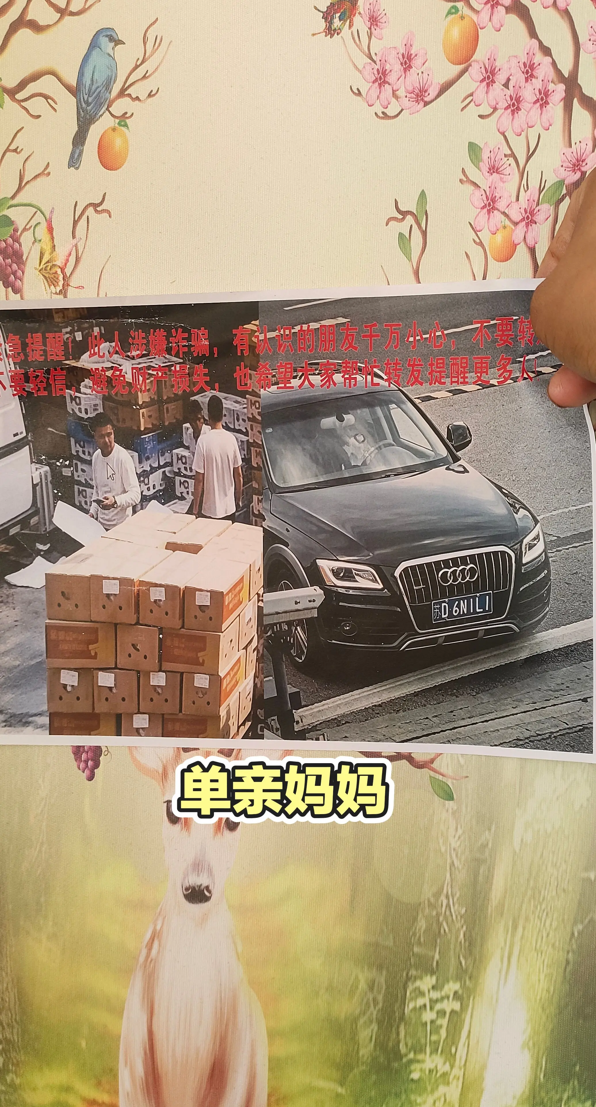 每日分享