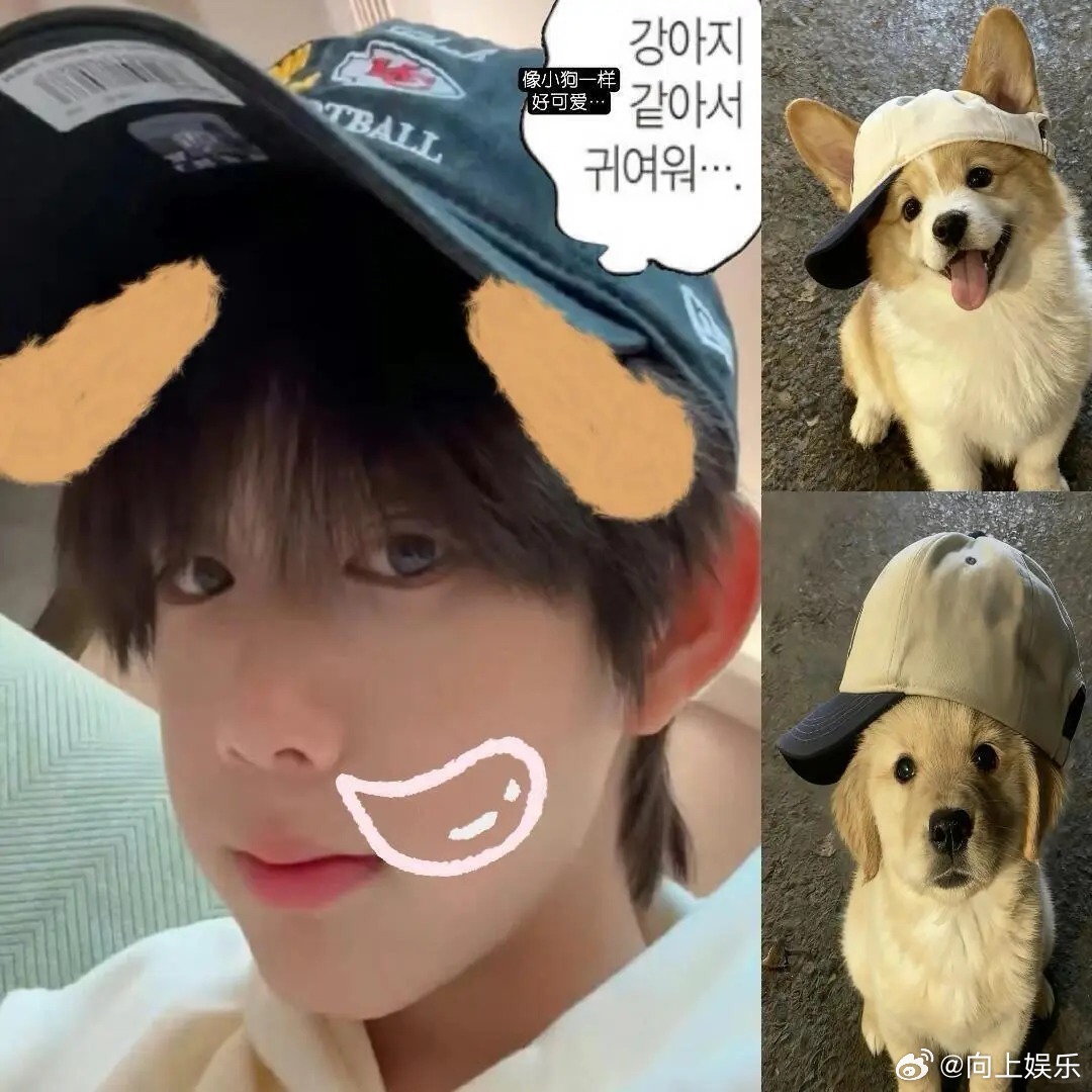 陈奕恒小狗时候  陈奕恒好适合狗塑啊！嘟嘟的脸颊肉完全是小狗~感觉身上也会暖呼呼