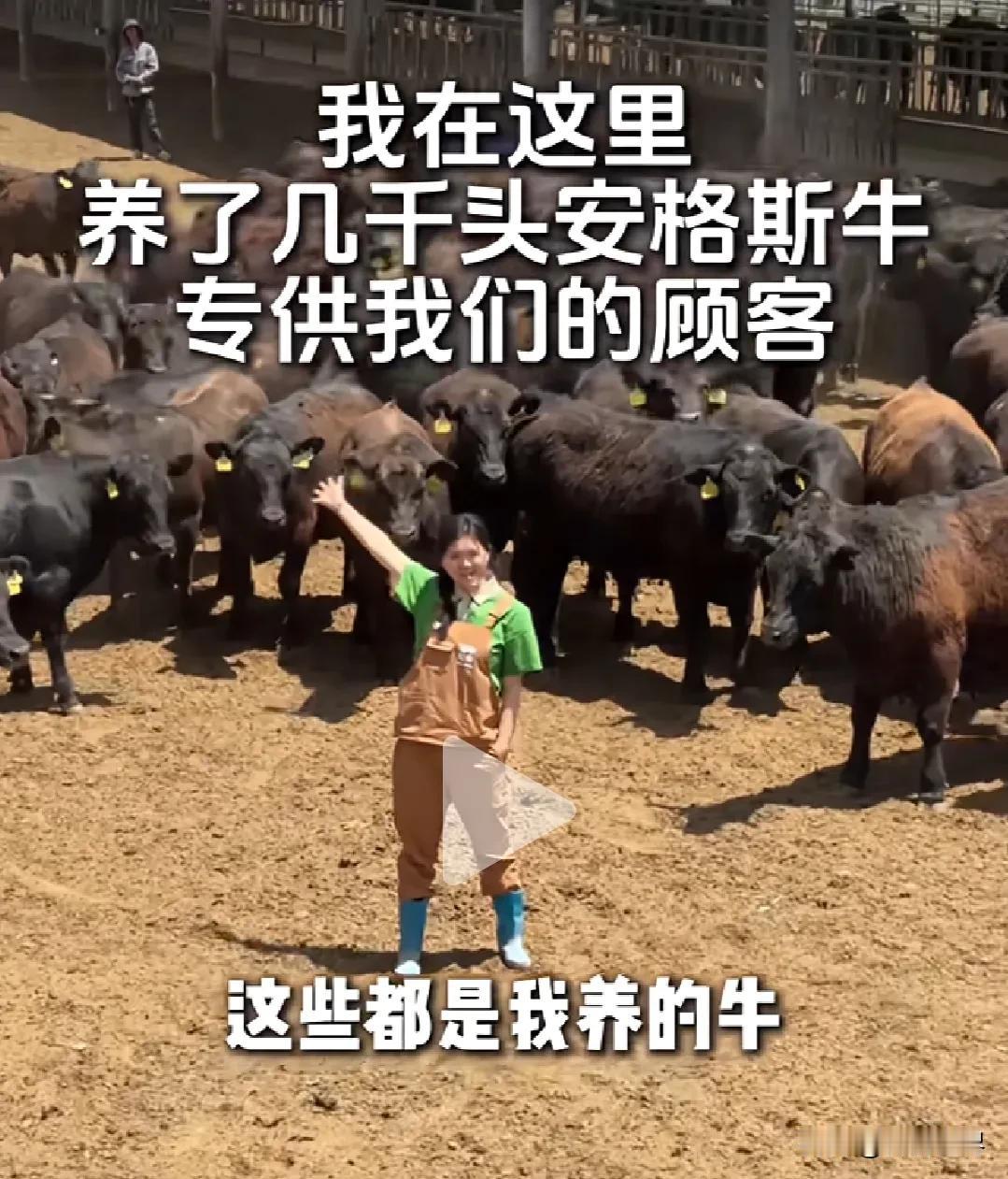 这个武汉老板娘太虎了！
跑到宁夏去养了几千头牛
就是为了让他的客户
在自己的火锅
