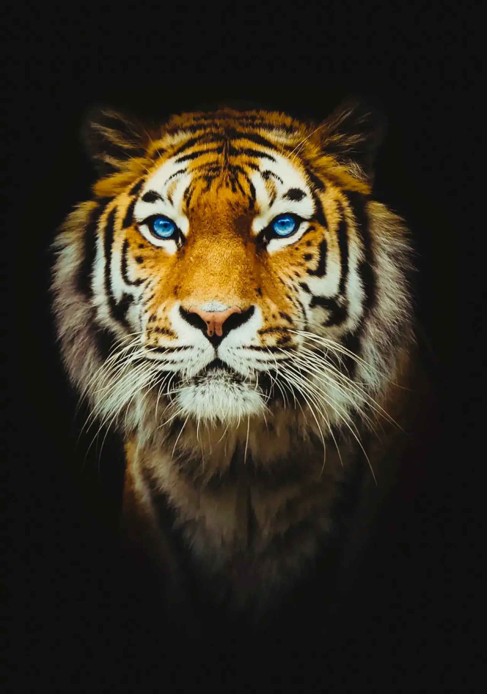 为了方便粉丝们的阅读，将这两年我写的杂文特整理如下：1、《江南逢李龟年后面的故事