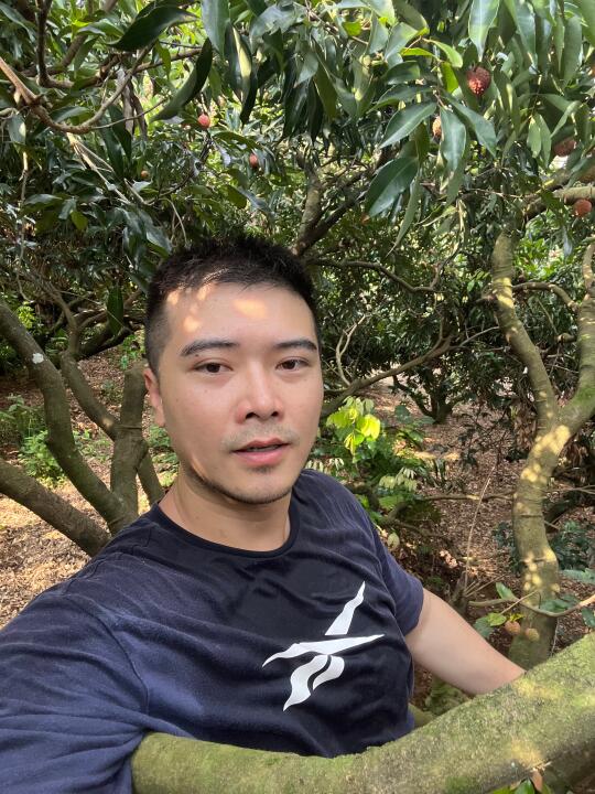 采摘荔枝的夏天