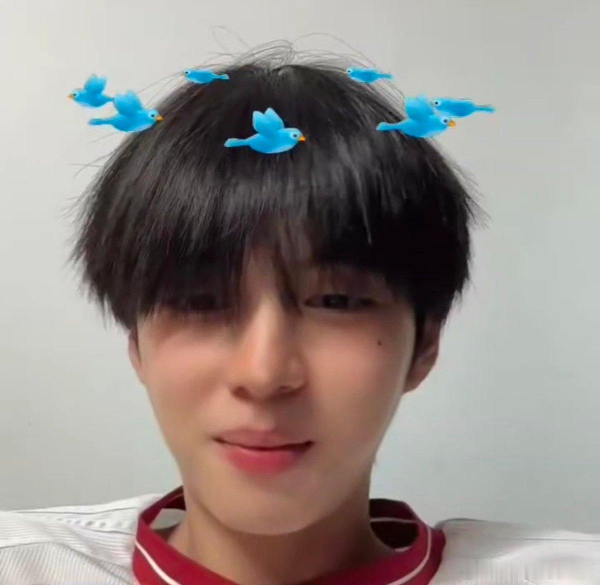 188锅盖头小狗 ​​​