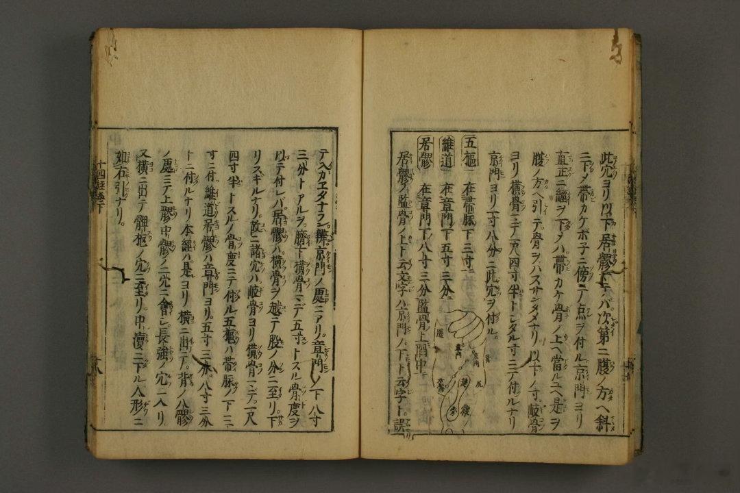 《医学至要抄》是日本江户时期综合性汉方医籍，共二卷，元禄十二年（1699）刊刻流