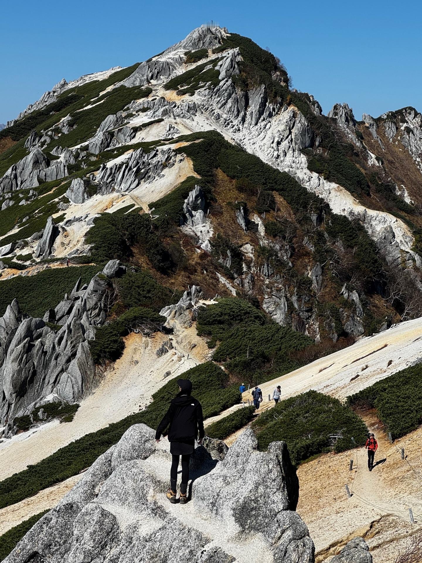 「誰もいない森の中の音と匂いすき🐒🍂🍁🦉🌲」 