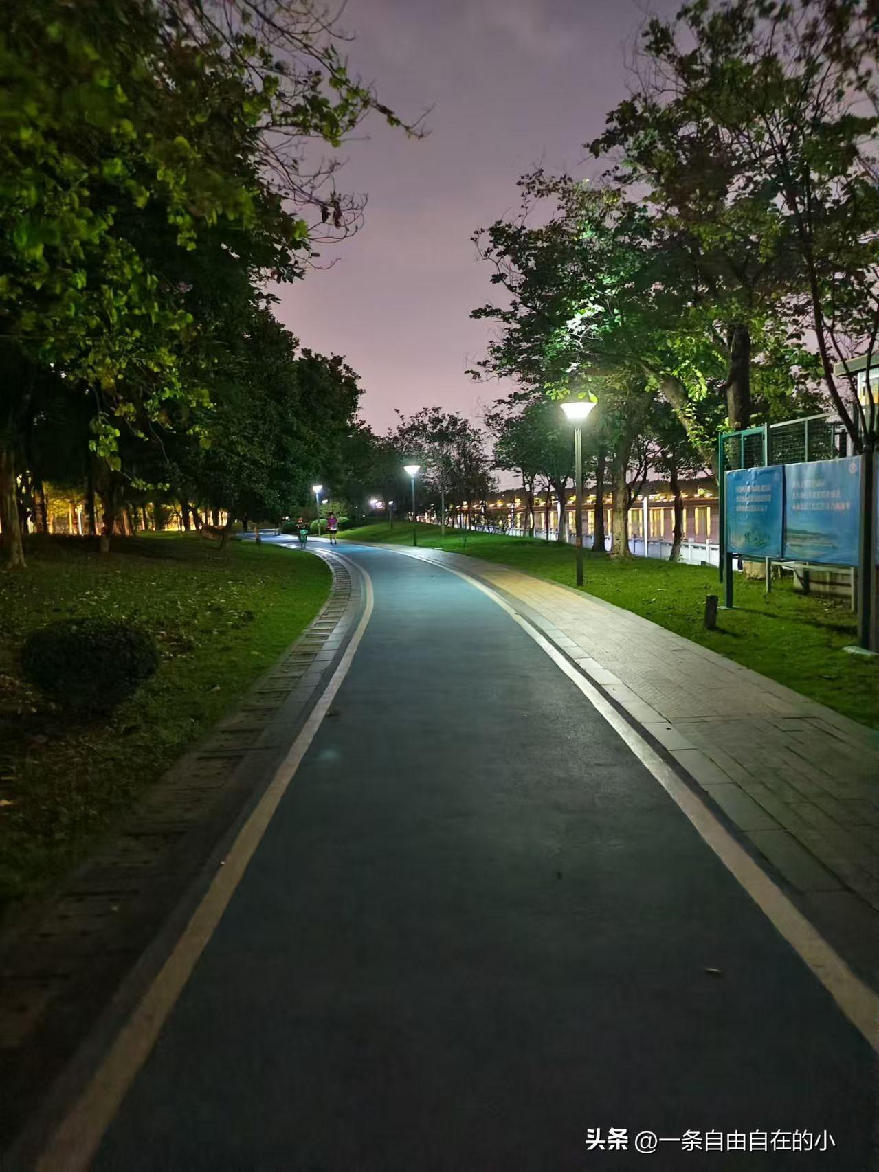 晚风抚平白日燥热，夜晚的滨河绿道，藏着夏日独有的温柔时刻。
天色渐暗，淡紫色夜空