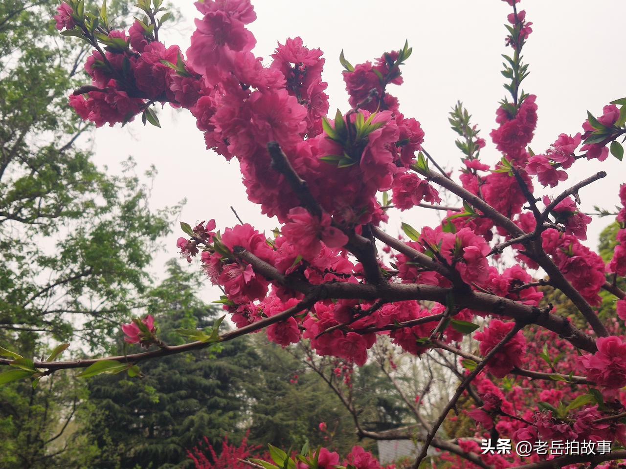 人与人之间相处需要的是互相尊重和帮助，如果你结交朋友，就是为了喝酒吃饭，在一起见