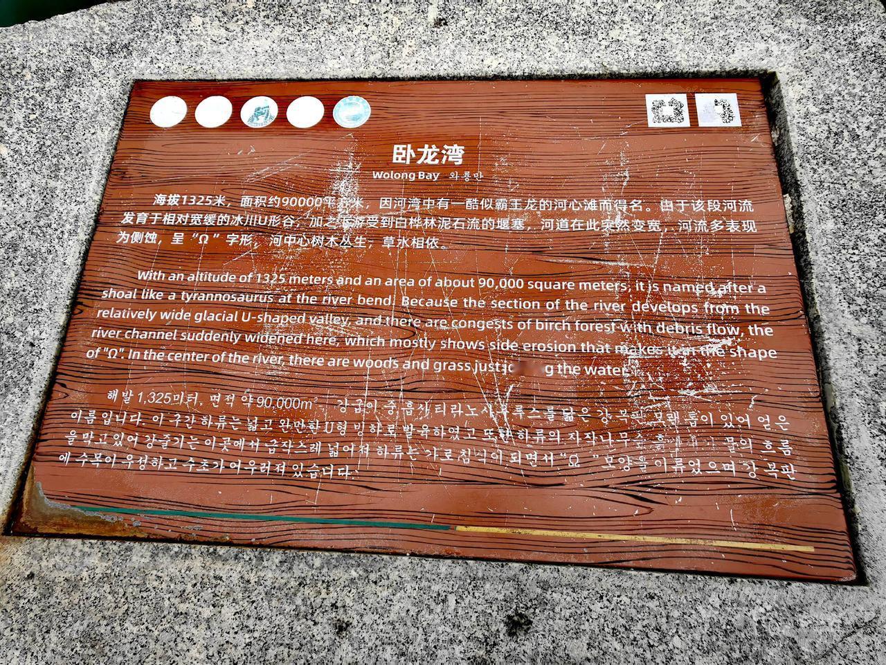 喀纳斯.卧龙湾（2025-6-10）