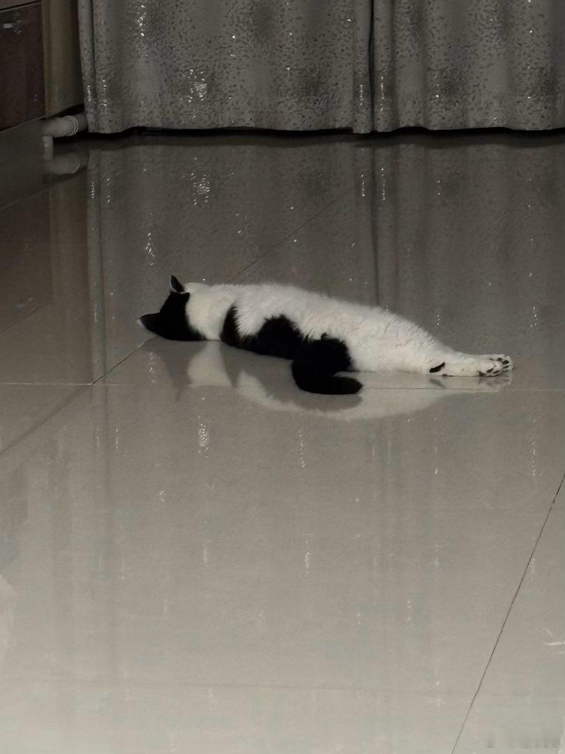 晚安💤 