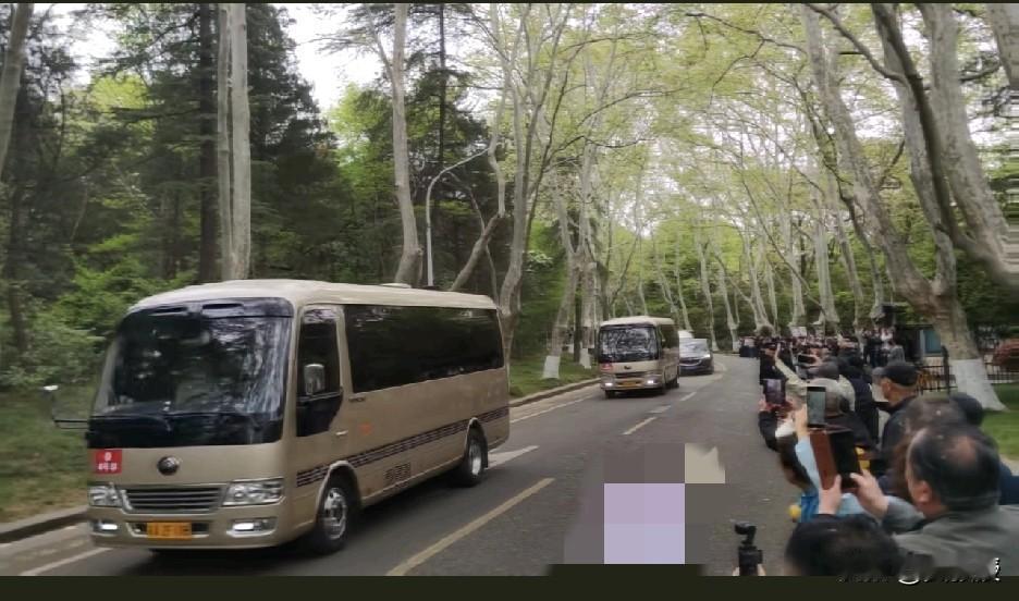 南京钟山梧桐大道
考斯特车队