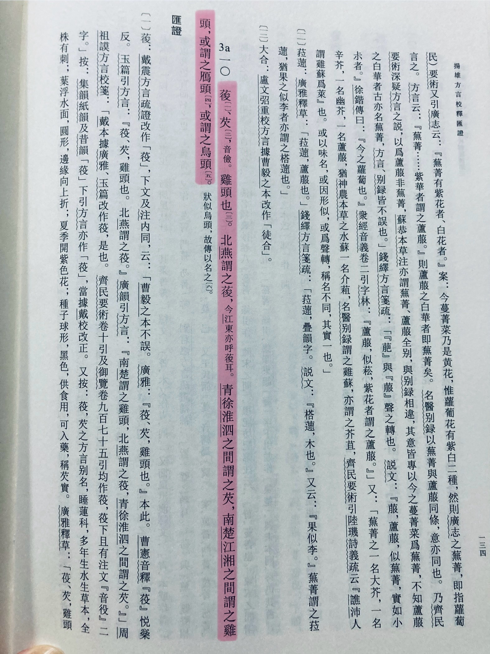 原来芡实（鸡头米）从东北到华南都生长啊，我原以为只有南方有因为几年前在苏州吃饭时