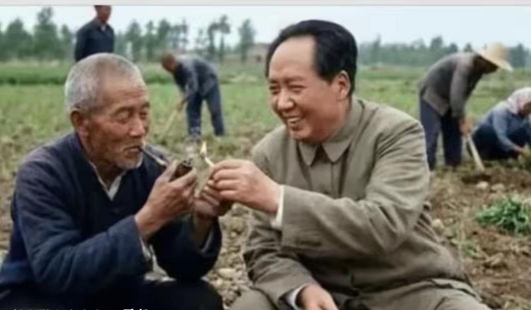 没有半点官气，毛主席就坐在田埂上，俯身为老农点燃旱烟。烟火忽明忽暗，映着两张同样