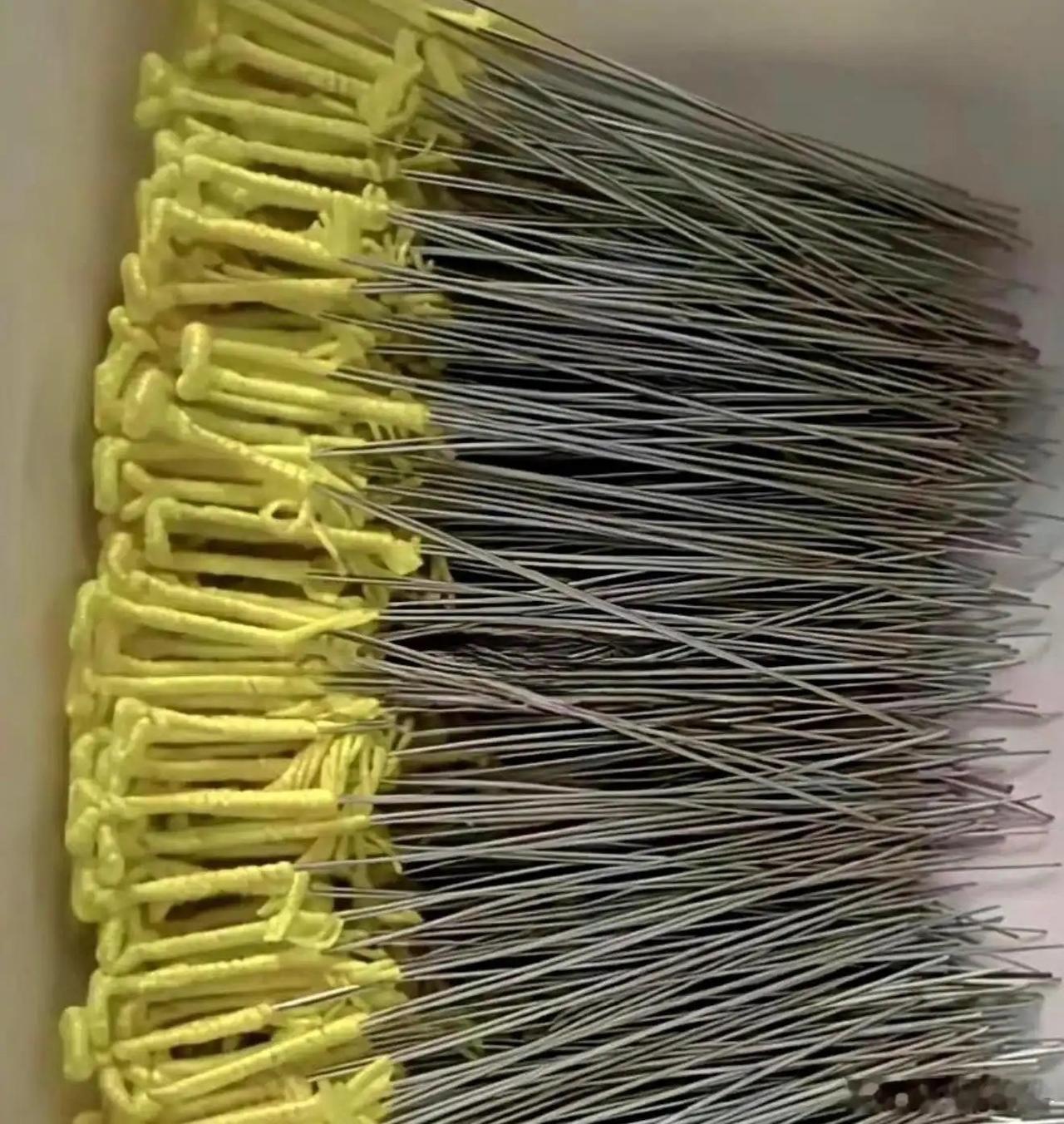 有没有人认识这个叫什么？