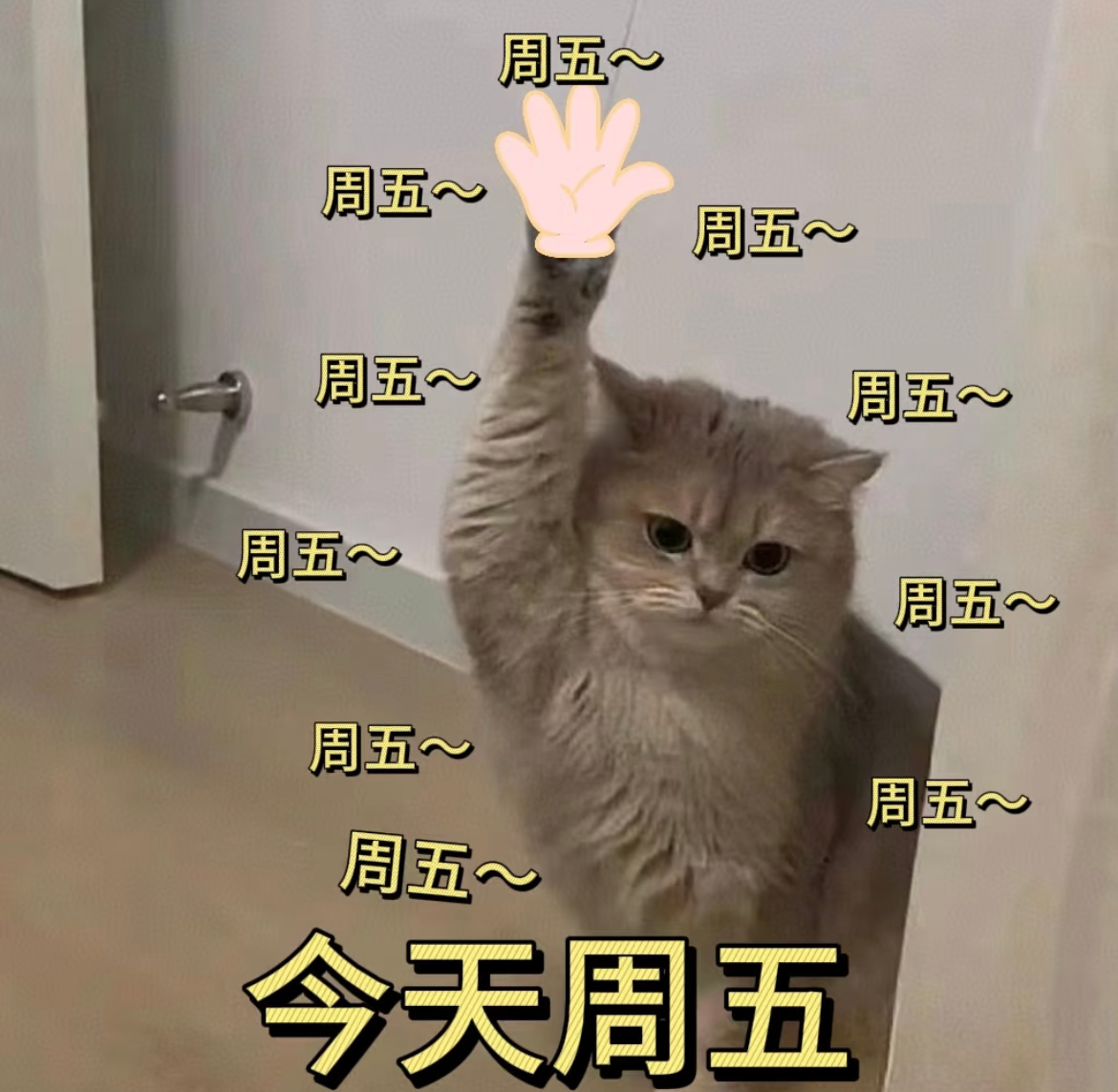 今天星期✋ ，不卷不添堵[奶牛猫]早～UU们，星期五快乐[喵喵]早安 ​​​
