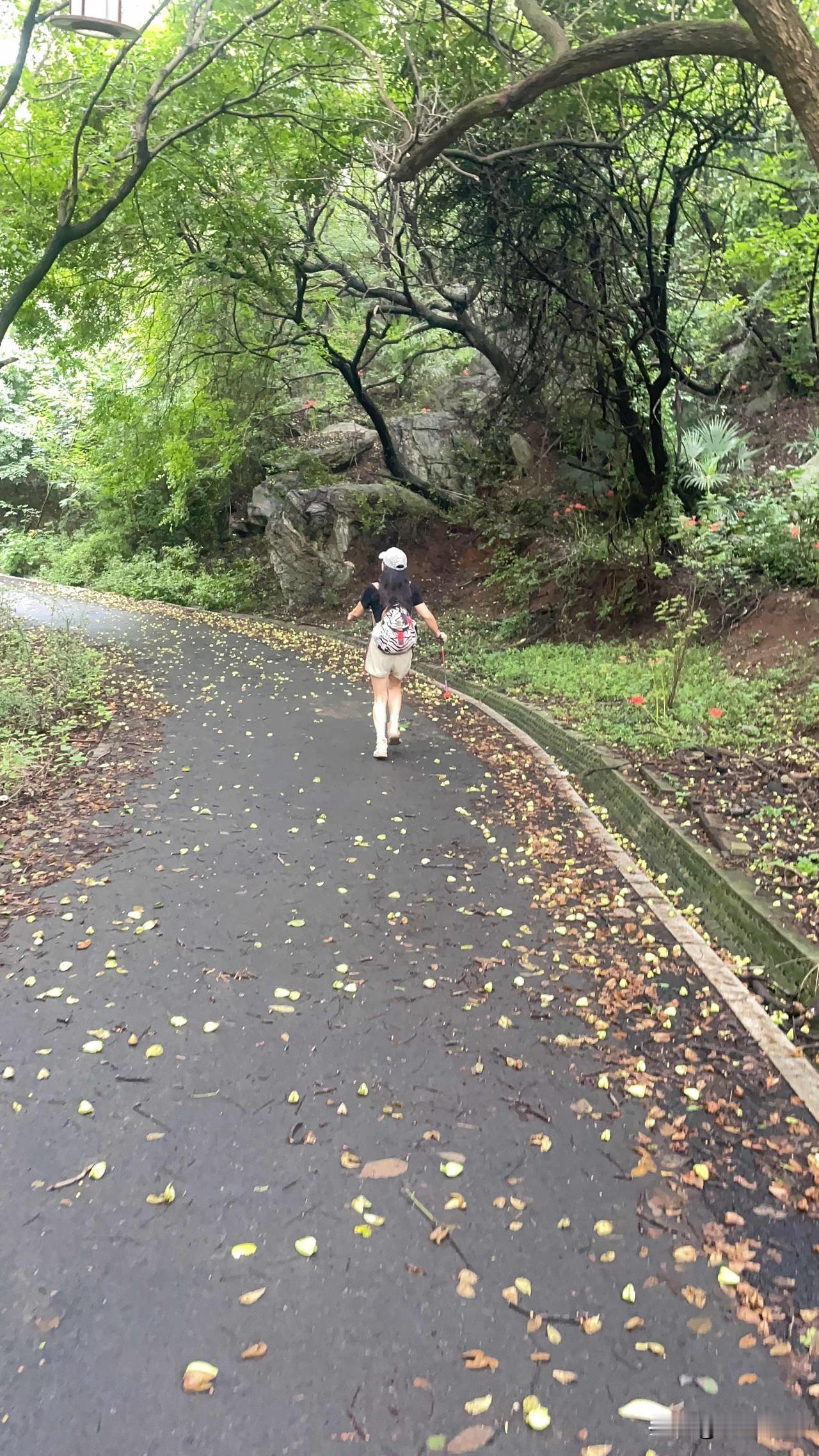 下午要去爬山今天就不更新了