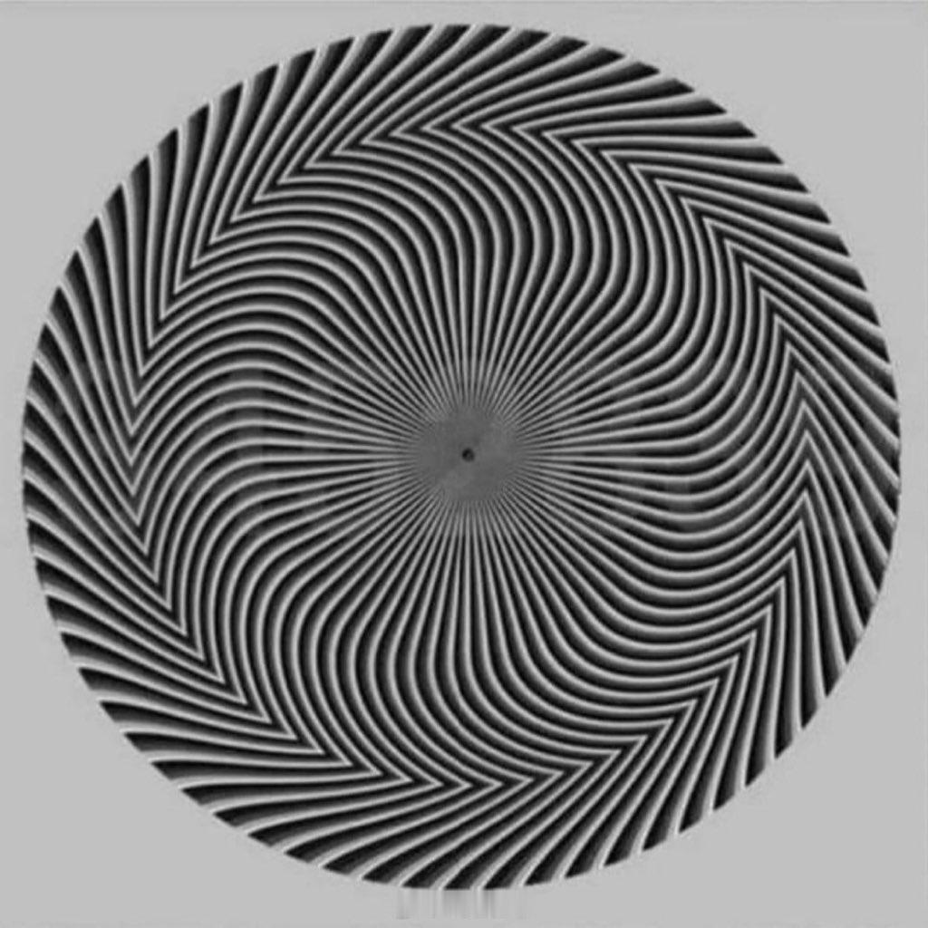 你能看出几个数字？？我已眼晕😵💫 