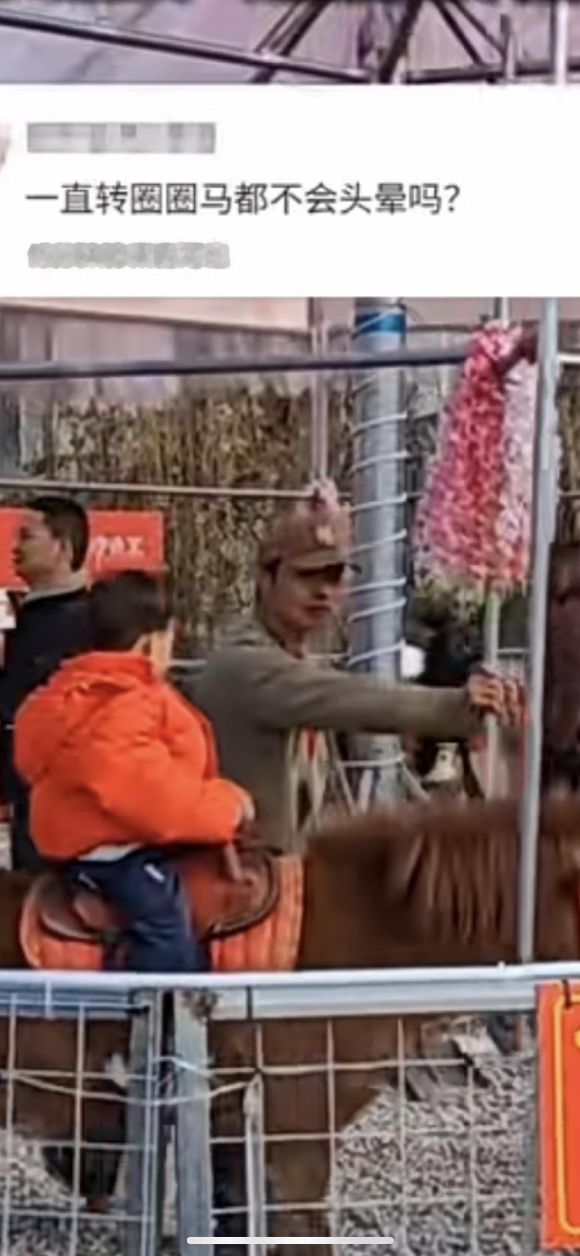 2月10日，陕西西安，一景区旋转木马升级“旋转真马”引发网友关注。因该项目的几匹