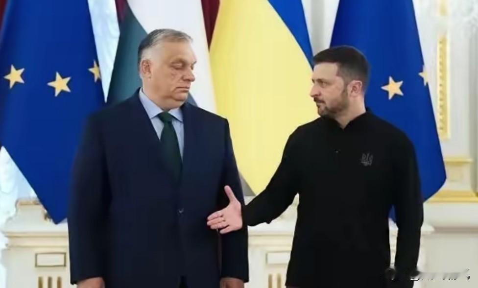 彻底决裂了！泽连斯基在慕尼黑安全会议上公开嘲讽欧尔班，欧尔班怒怼！泽连斯基：就算