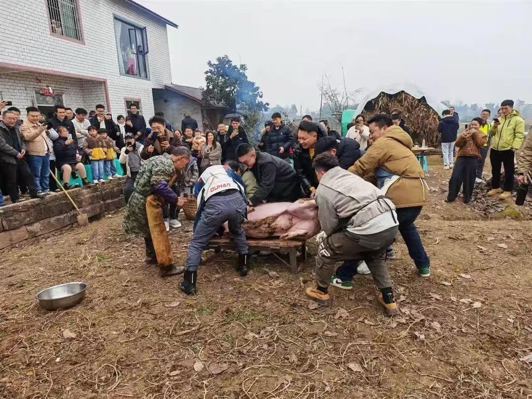 2026开年最暖流量！重庆女生求助杀猪，4000网友赴约千人宴

重庆女生“呆呆