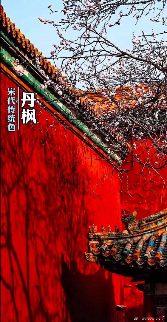 情感博主上线：有些“小”事，影响是一辈子的；“小”事不小。