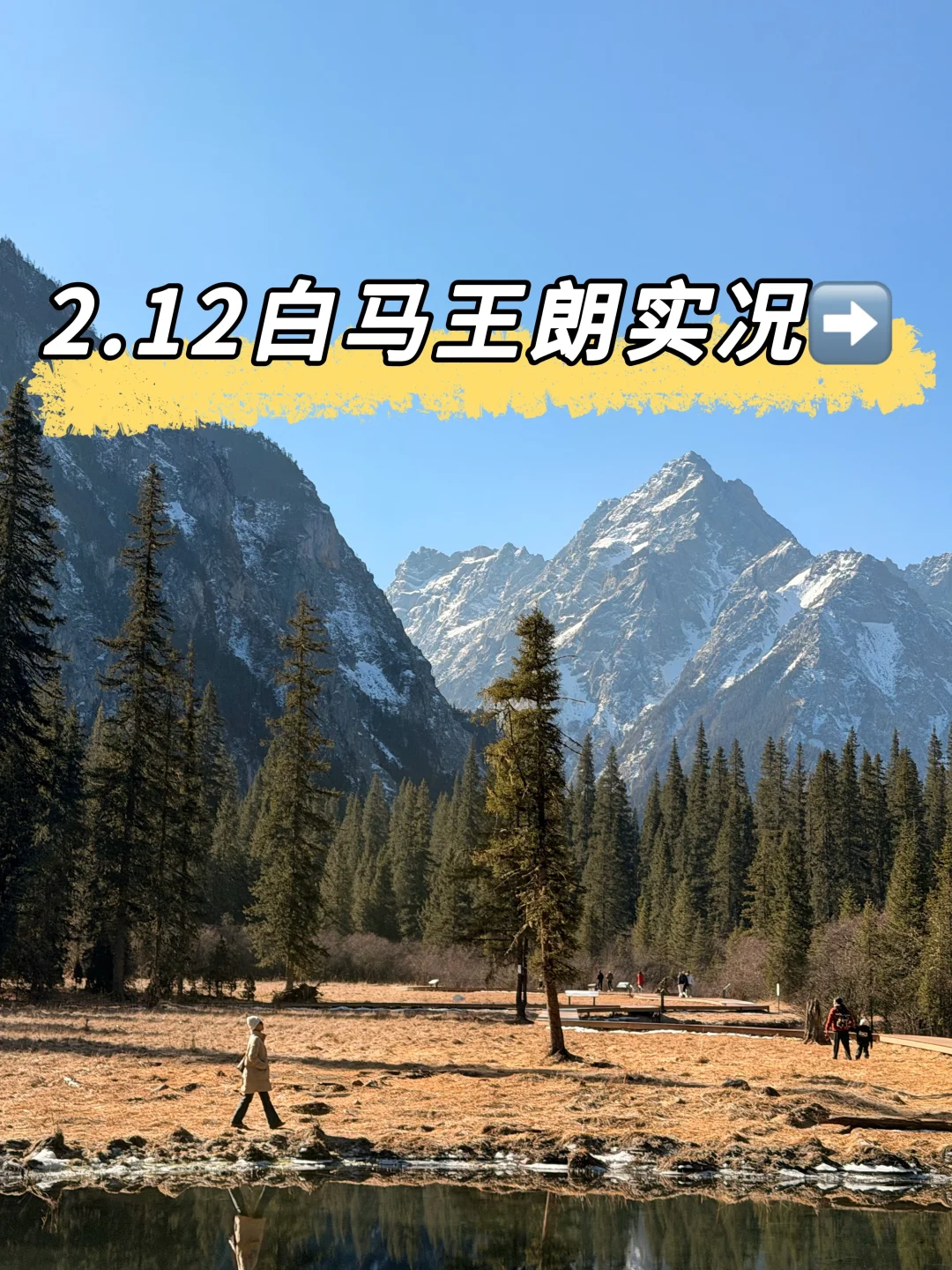 💡2.12今日实况：积雪已融化90%！