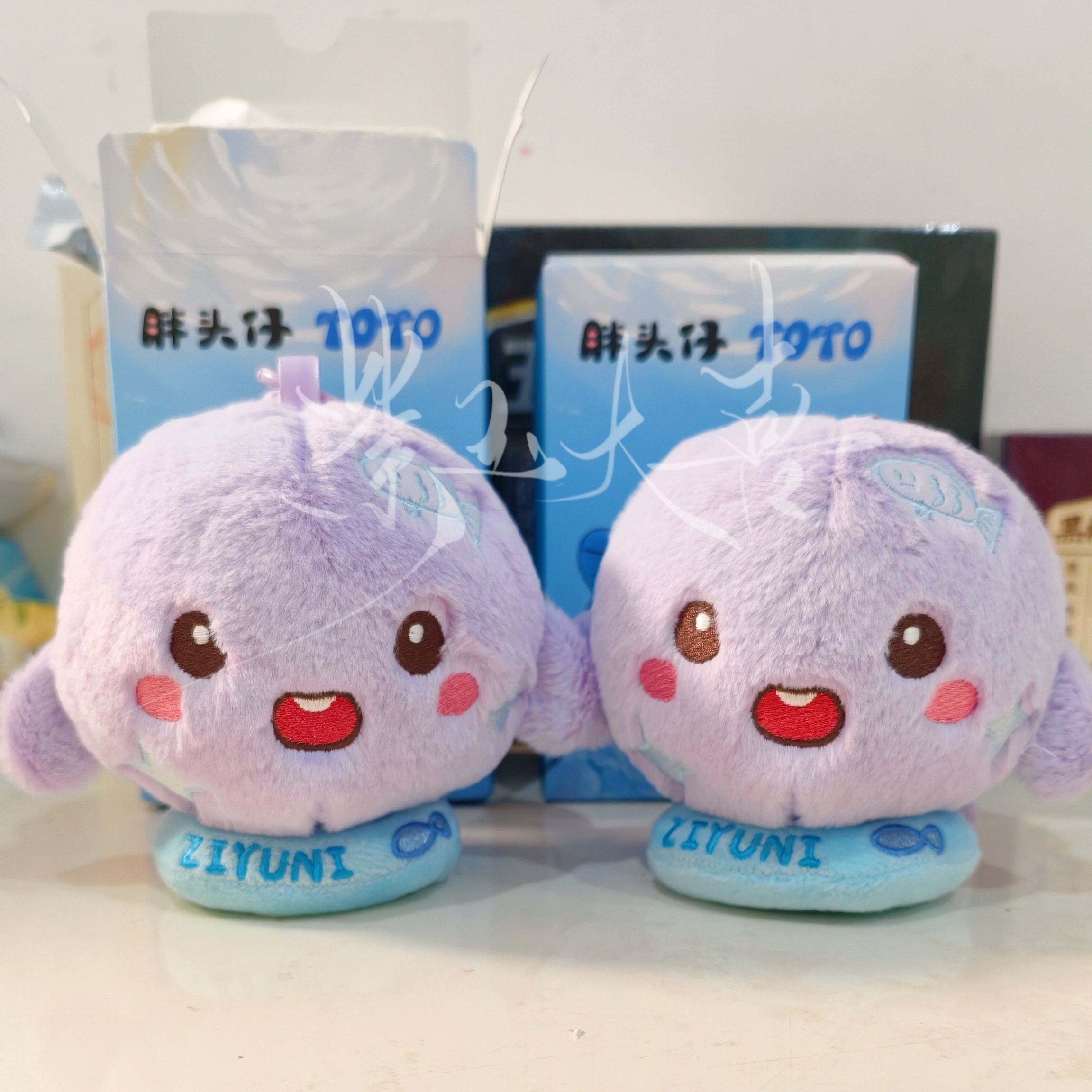 我的墩终于到了