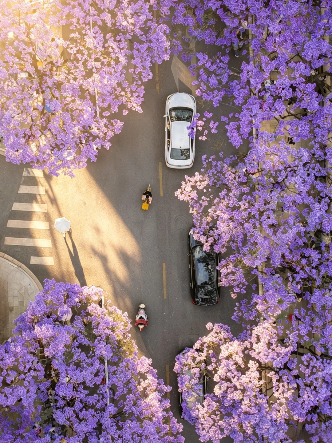 这是20天后的昆明，先收藏好这❾个机位‼️