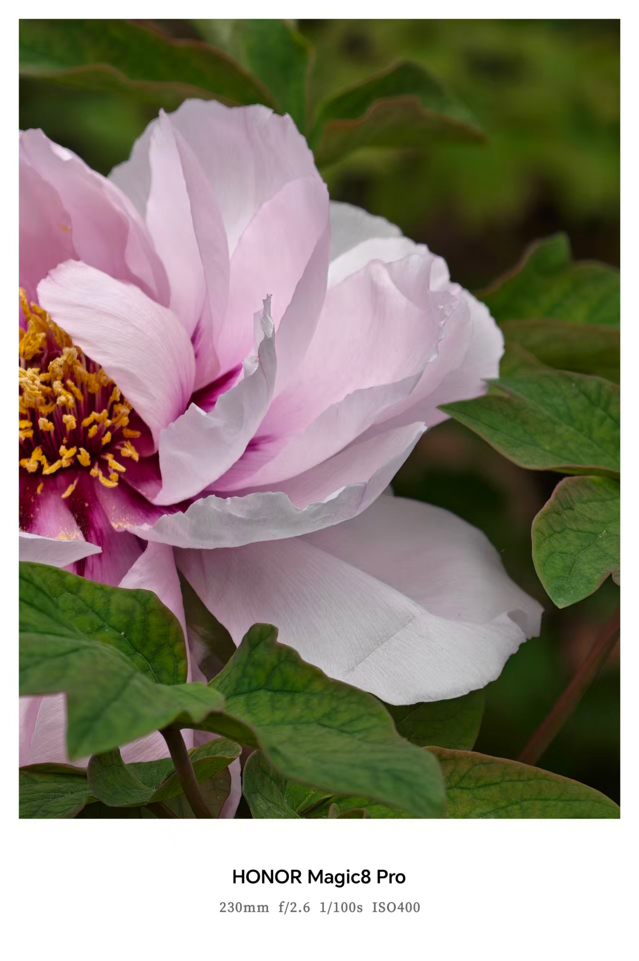 谁懂这次换手机的意义 好好好，各大文旅的审美和网感始终快我一步！素颜色环转场一键