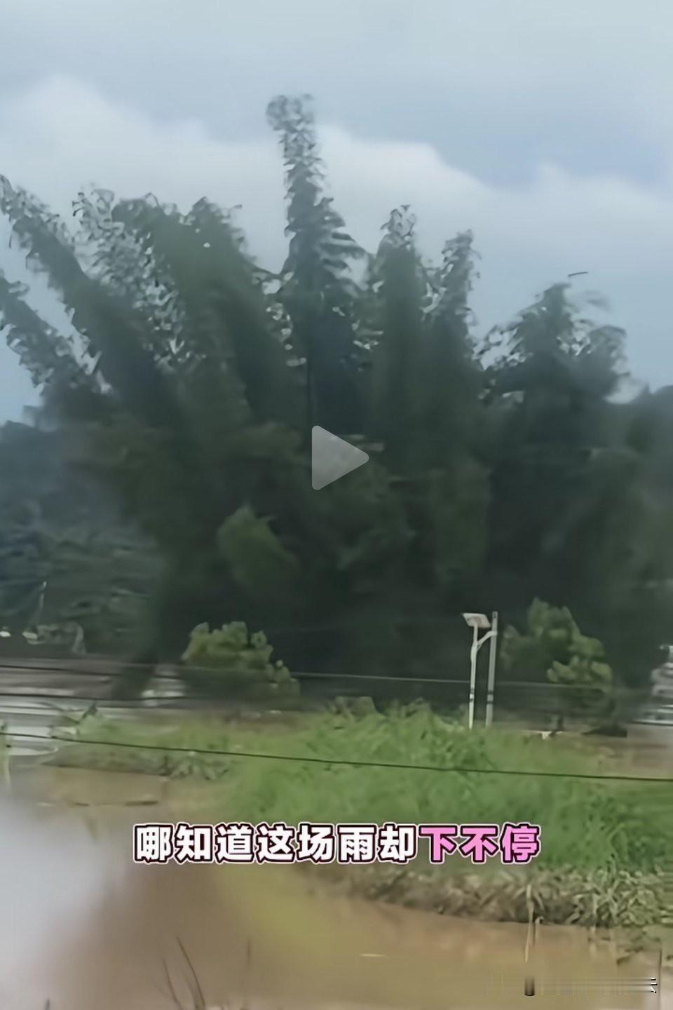 恭贺新舰下水！
近日，梅州下了一场暴雨，当地村民造的新舰趁机下水了，名叫梅州“驱
