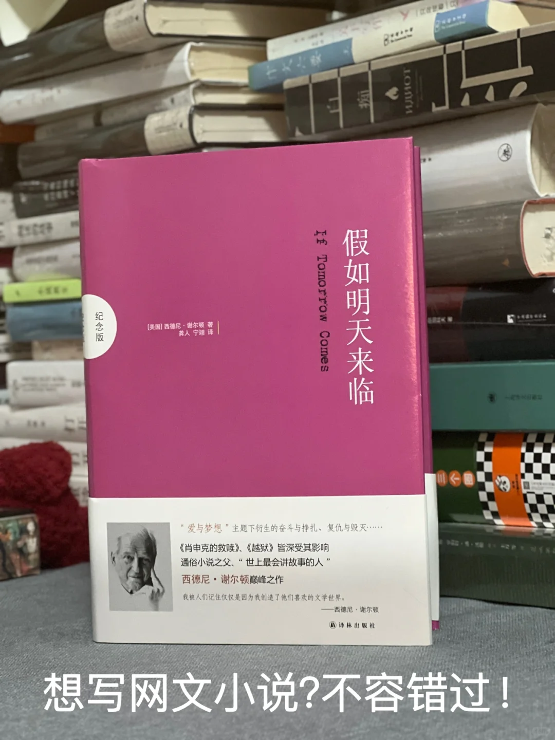 一锅加了很多料的大杂烩，让我感觉到了爽