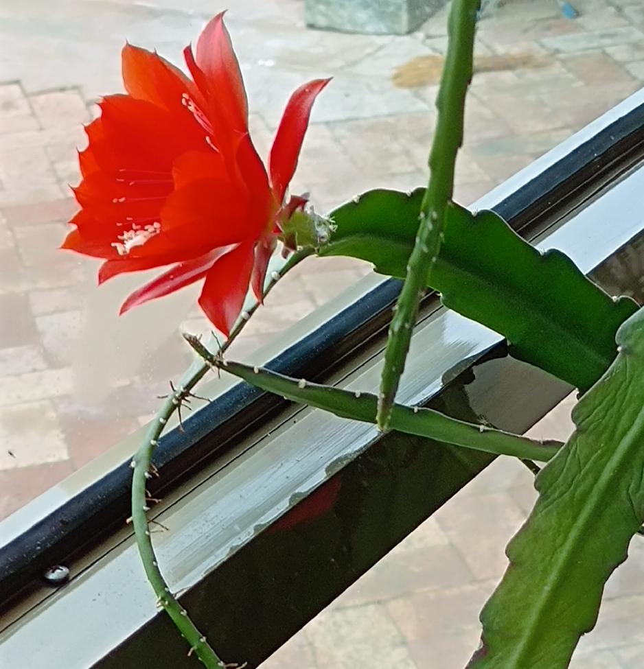 你关注到了访华现场哪些关键信息真是可笑！一说到这方面，你就限流，又邀我参加活动…