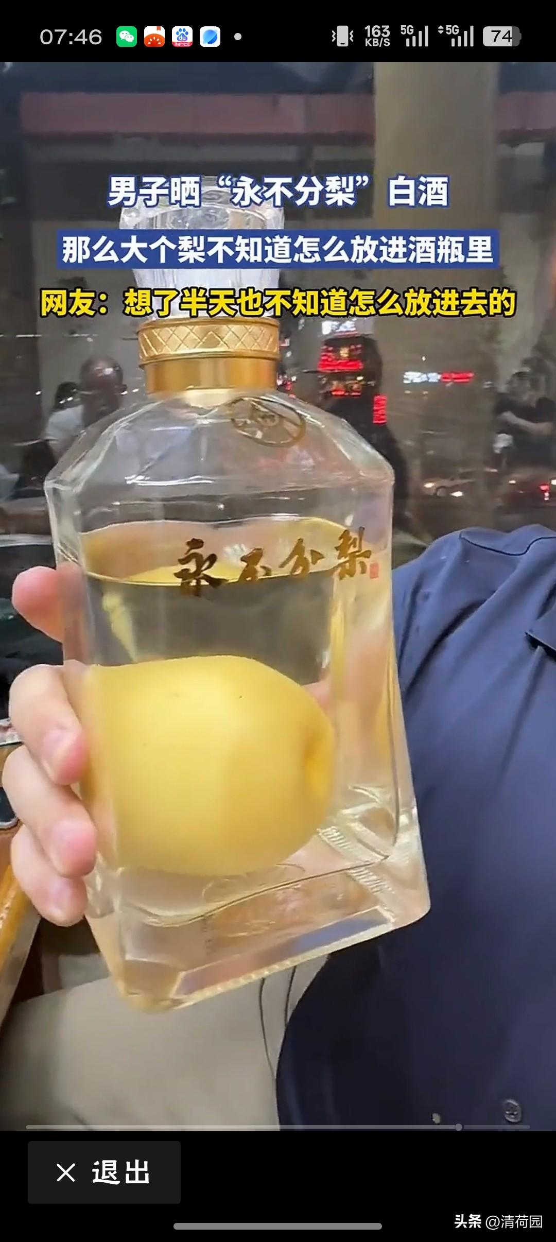 男子晒“永不分梨”白酒这酒里的梨，不是在瓶口“钻”进去的，而是在枝头“长”进去的