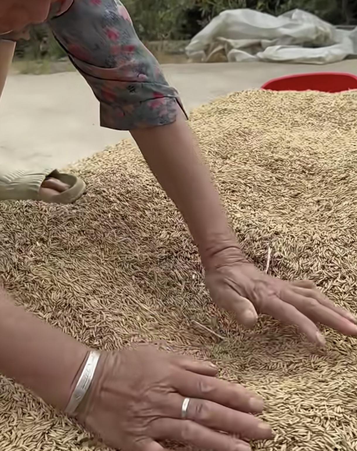 男子把脚伸到麦子里，
骗母亲说：有老鼠
下一秒，母亲拿来了铁耙子，直接捅了下去，