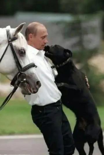 不愧是普京大帝，在2025年的最后一天，普京下达了指令，而硬生生胶着多年的俄乌冲