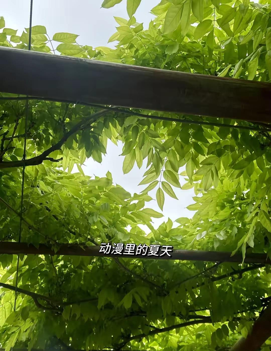 ☀️
美好的一天开始！

每个清晨都是生命的礼物。
学会珍惜，保持感恩，
愿你心