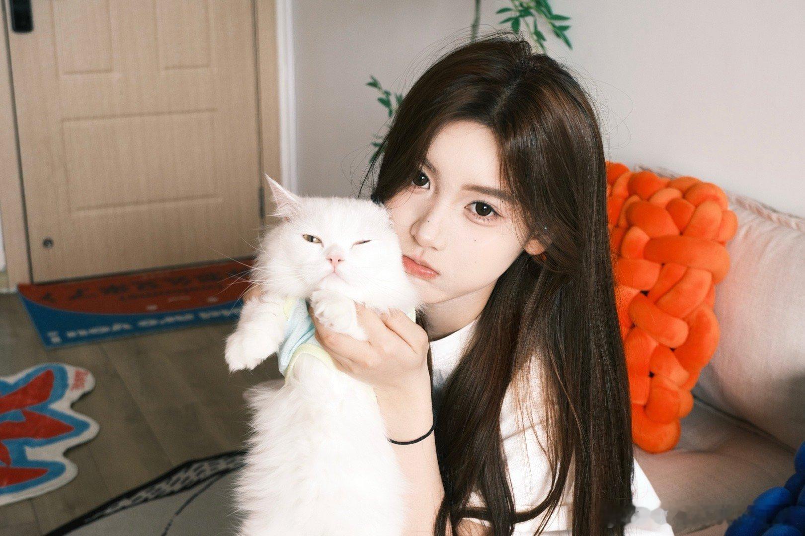 猫猫教 ​​​