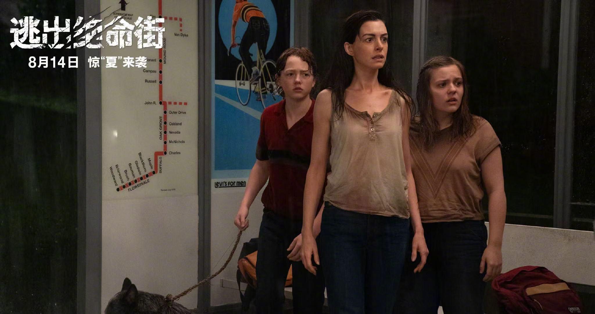 人家幸福来敲门这里恐龙来敲门 被恐龙敲门是什么体验 七夕过节反差感拉满?幸福敲门