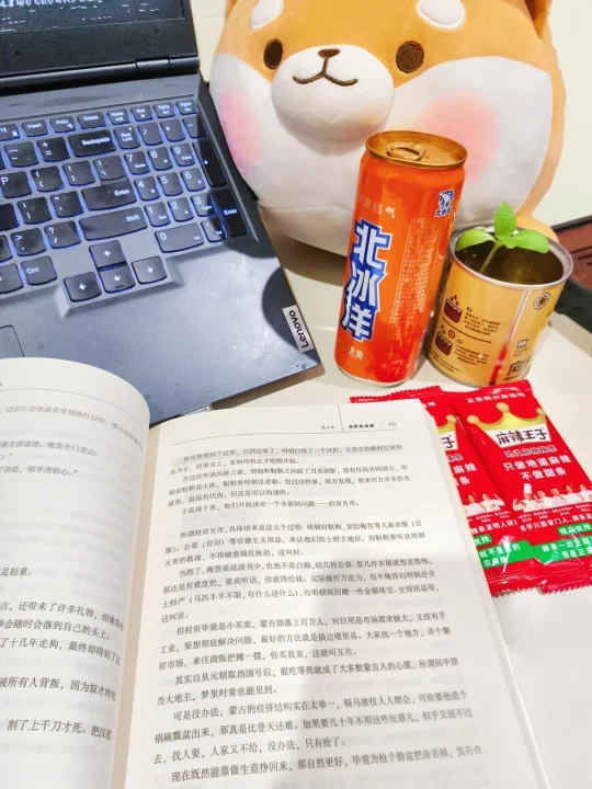 今日份肥宅快乐：星露谷＋书籍＋冰汽水！