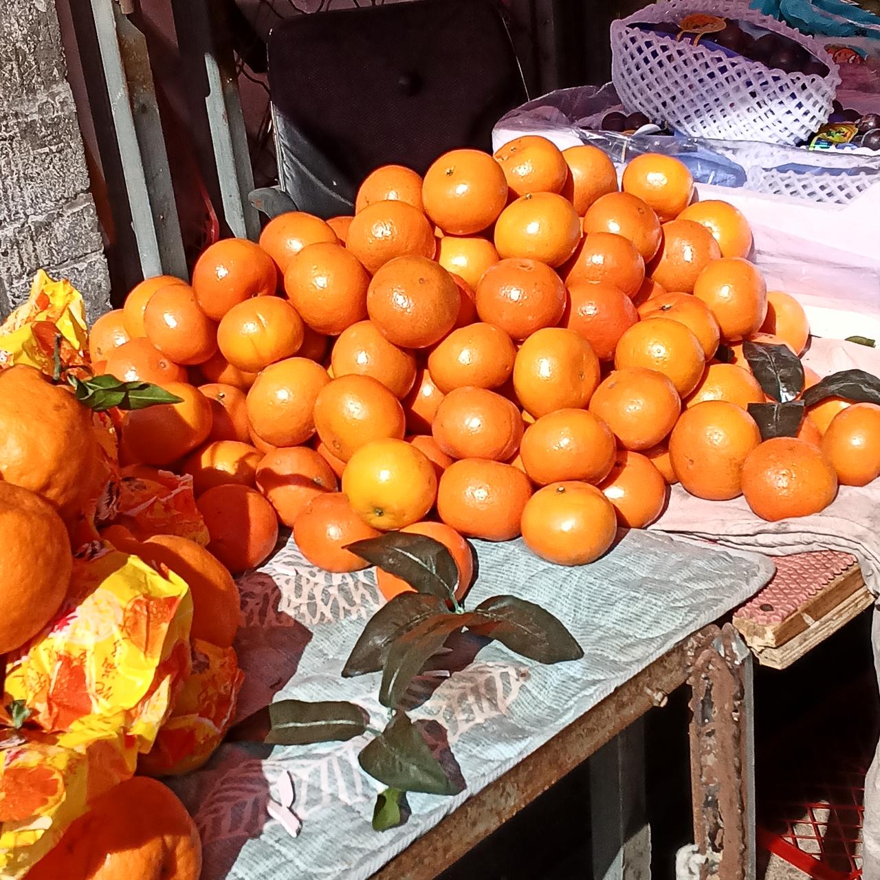 以广西回到东北，看到夜乡市场上亮得晃眼的沃柑，再联想到在广西巴马迟到的甘甜又多汁