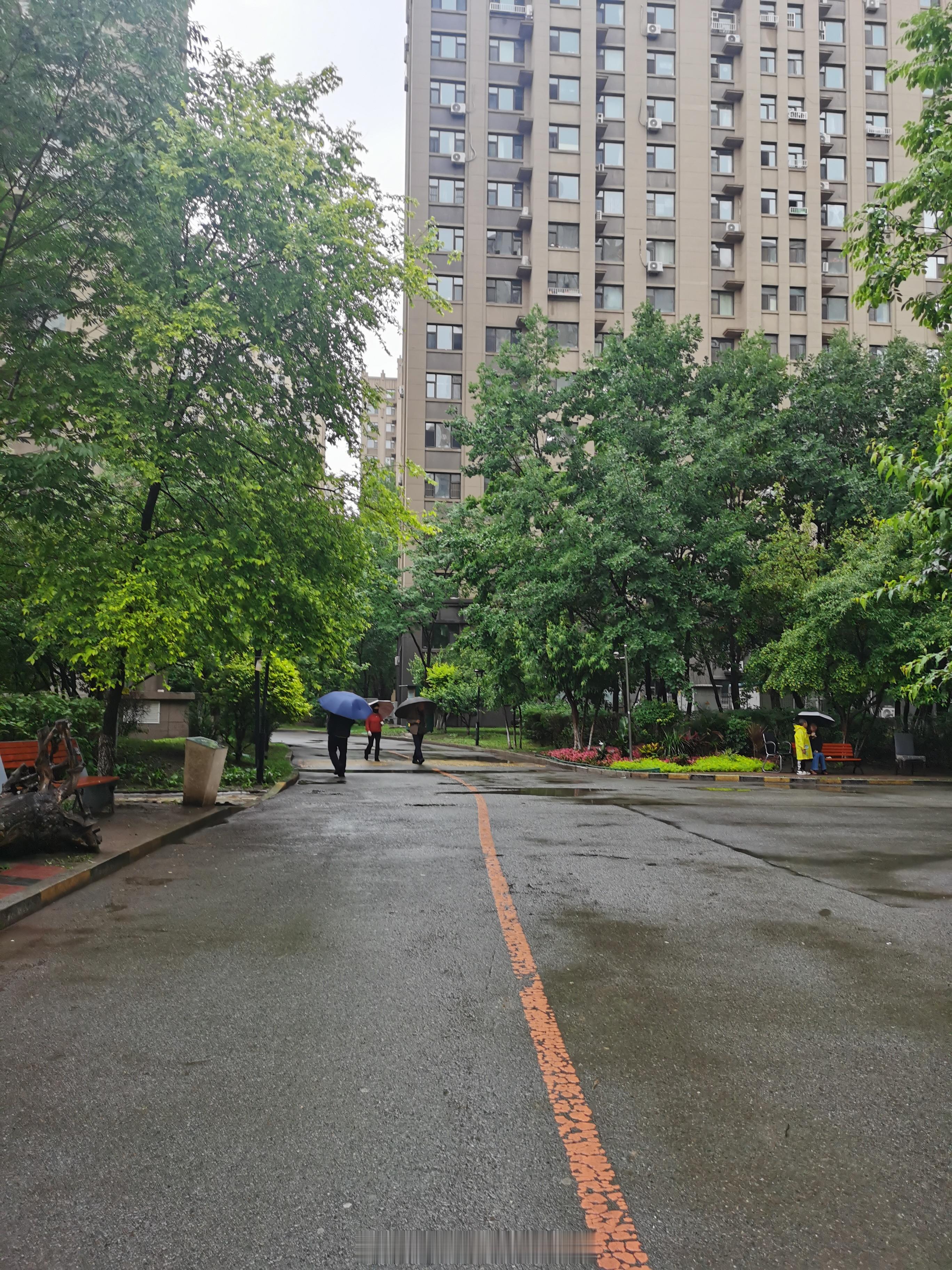 长春这是一脚迈进雨季大门了吗？昨天本想约朋友去爬爬山、骑骑车，结果全泡汤，看来这