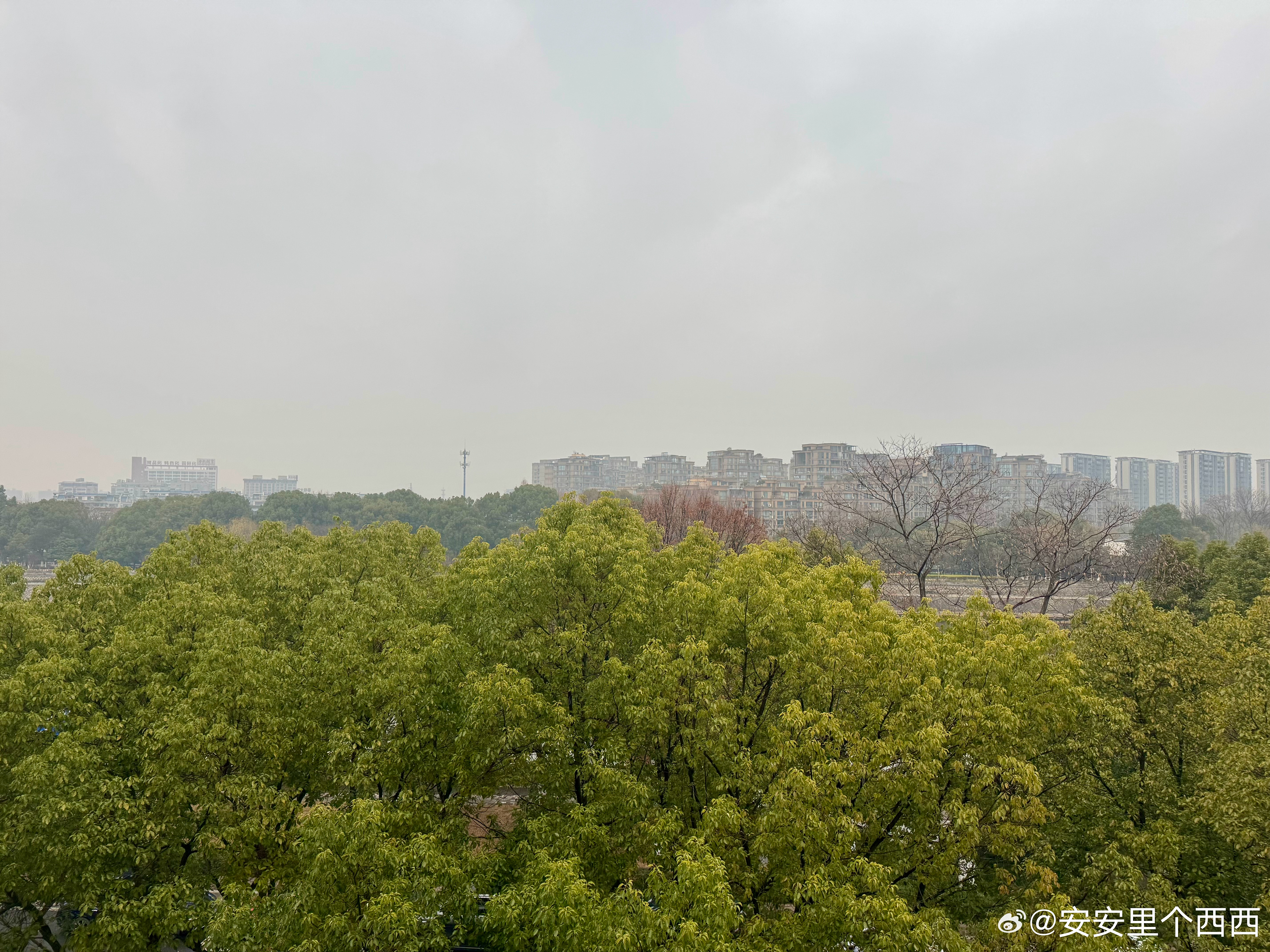 刚刚接安姐放学安姐：好 kongmeng 啊～我：抠门？谁抠门？安姐：kongm