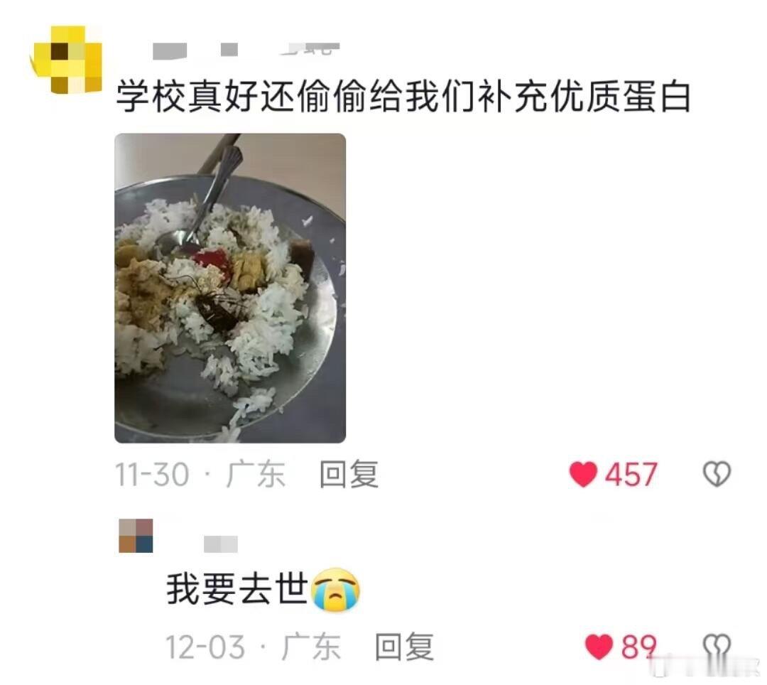 每次在食堂不像是吃饭，而是进食饲料 