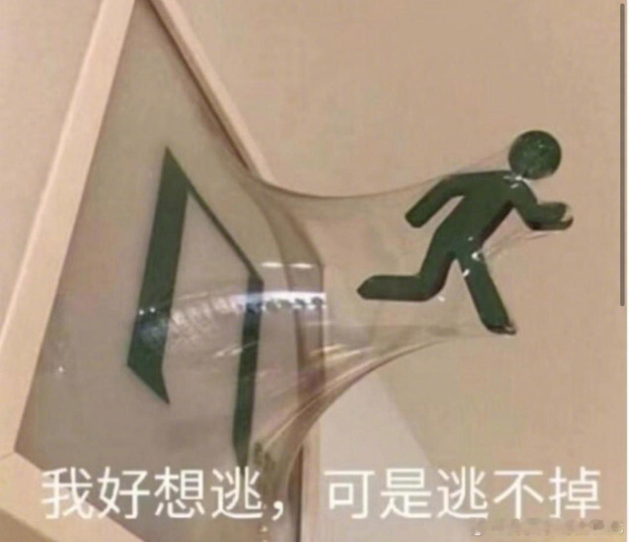 我感觉我在地球上服人役人类一辈子大致会经历的事例如:升学考试学车 职业选择 租房