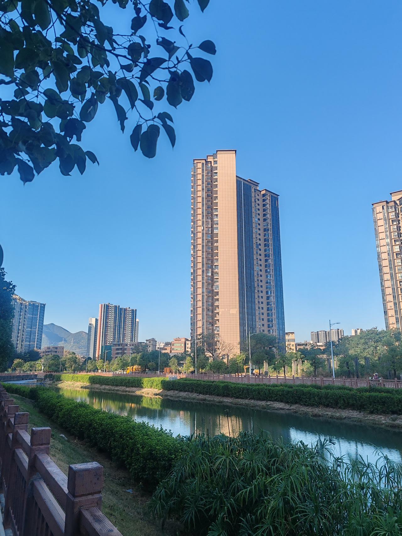 深圳最大的特点是啥?年轻。若以时间为尺丈量城市的生命，深圳无疑是中国城市版图中最