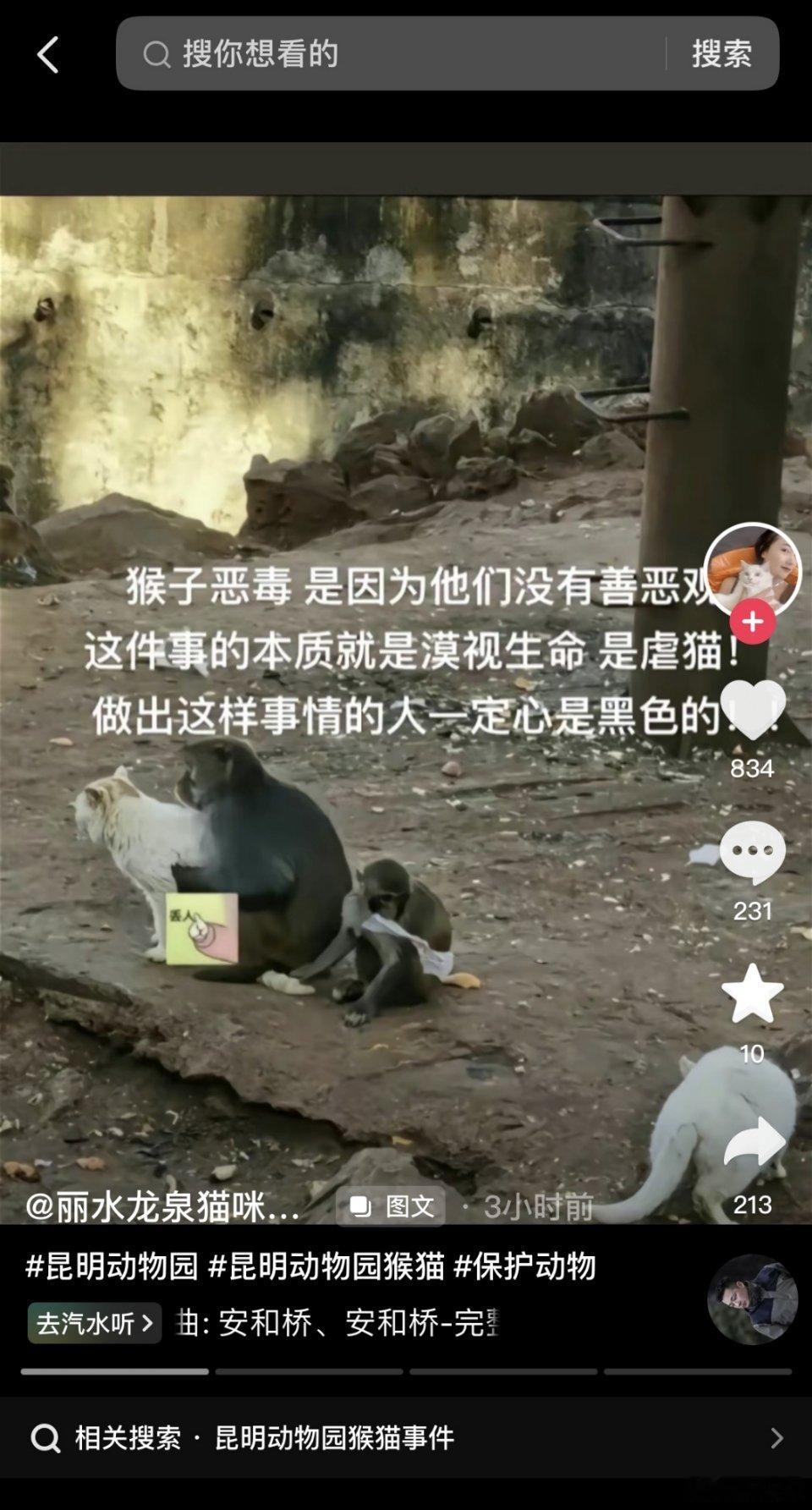 #昆明动物园通报猴猫共处#看到这两天网络上很多网友反映昆明动物园猴子虐猫的事，争