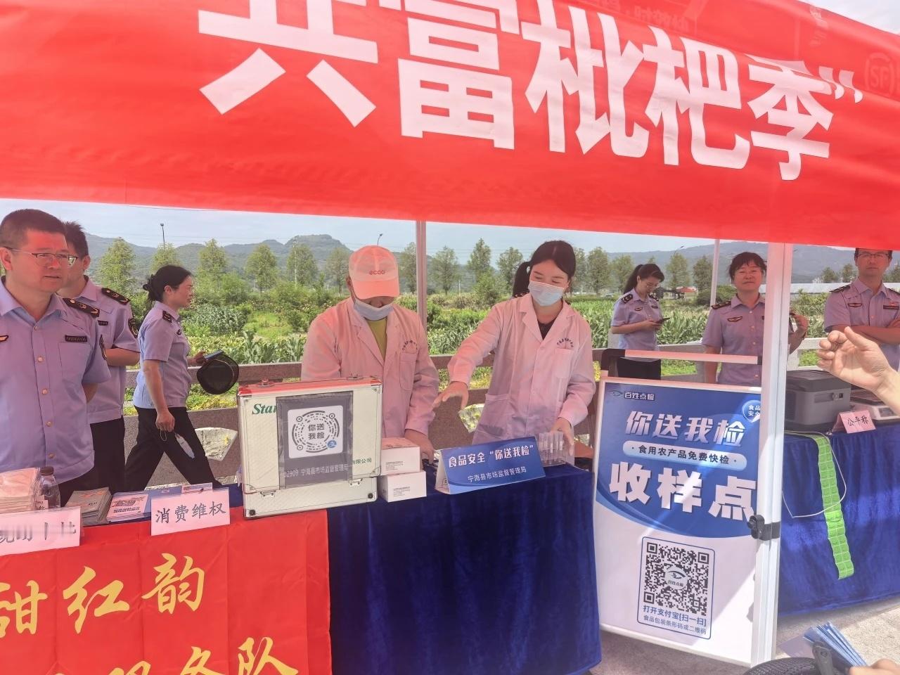 志愿搭桥擦亮宁波宁海白枇杷致富名片 初夏时节，宁波宁海白枇杷挂满枝头迎来丰收季。